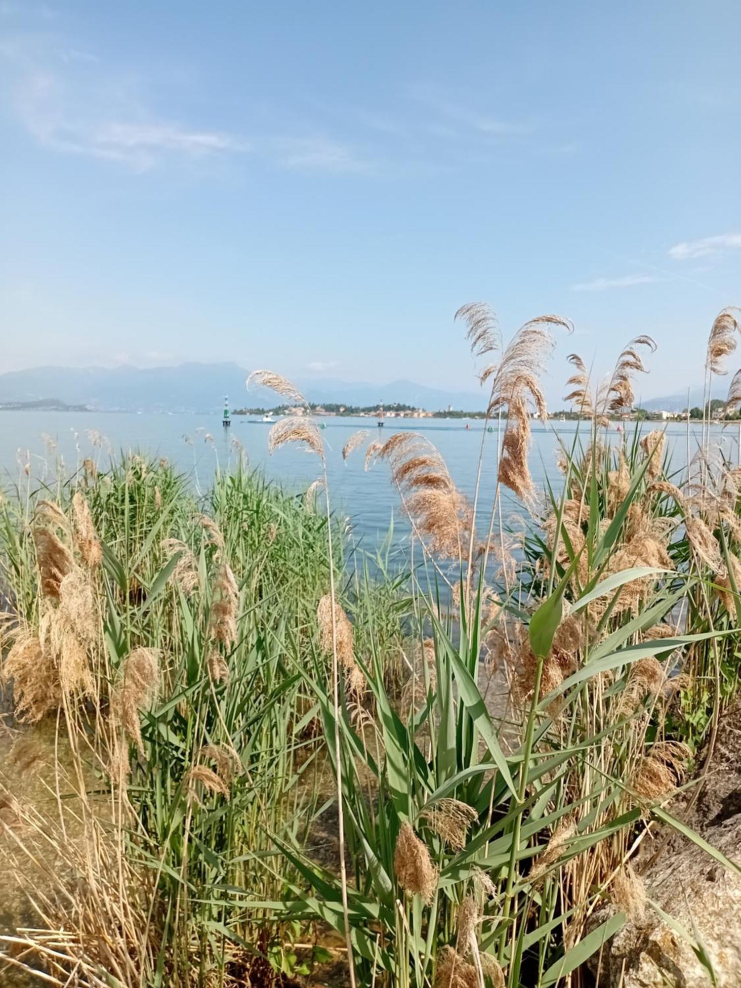 Ferienwohnung Miragarda Sirmione Exterior foto
